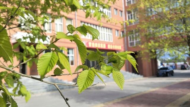 学生写给老师的教师节慰问信第1张-揣书百科