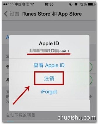 苹果AppStore怎么换账号登录第4张-揣书百科