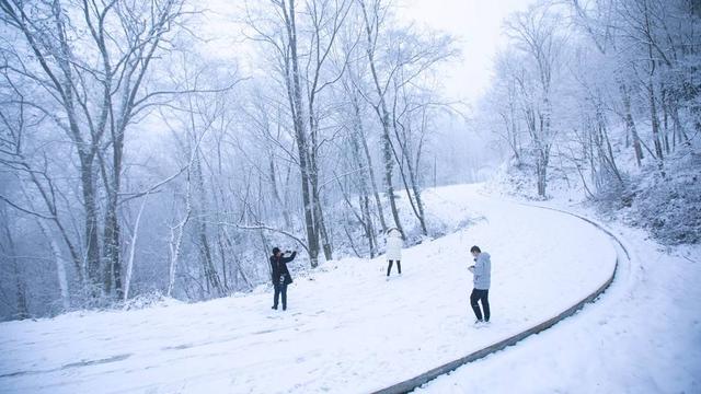 雪花开始漫天 我与雪花有个约会第1张-揣书百科