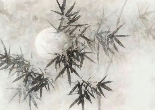 清雅短句藏诗意，一笺墨香润人心