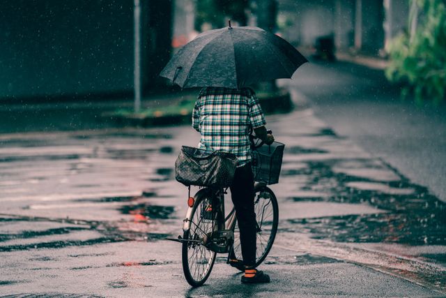 历经风雨洗礼，笑对人生万般境遇
